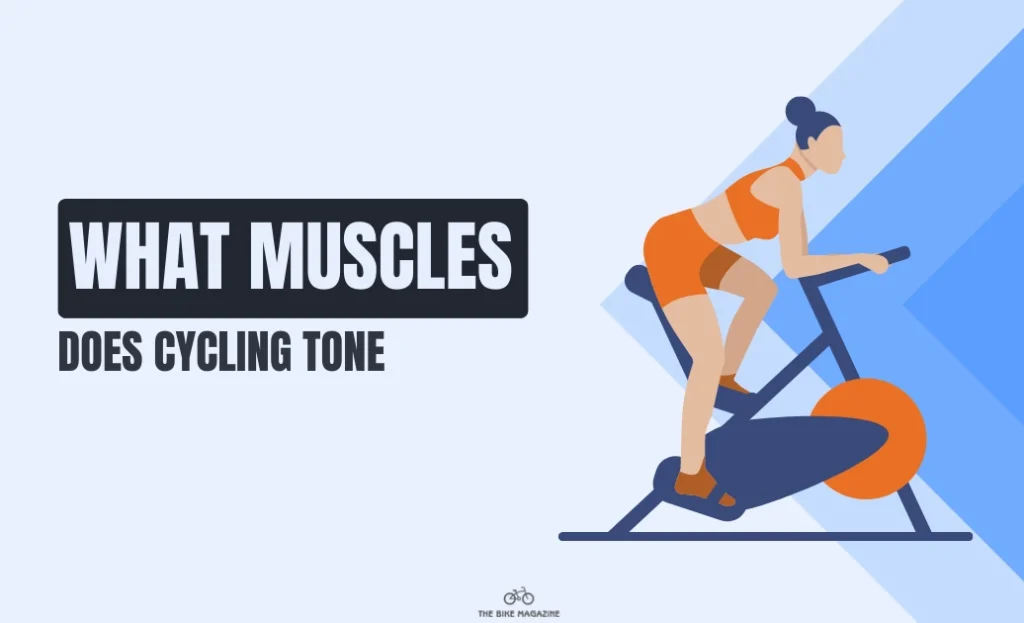 What Muscles Does Cycling Tone